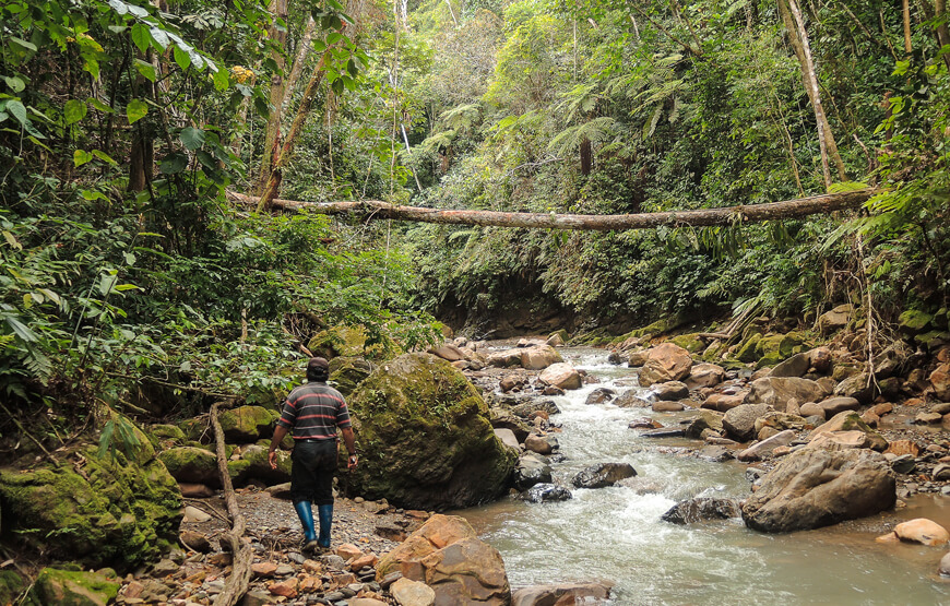 DAY 2: JUNGLE TRAILS, WILDLIFE & VIEWPOINTS