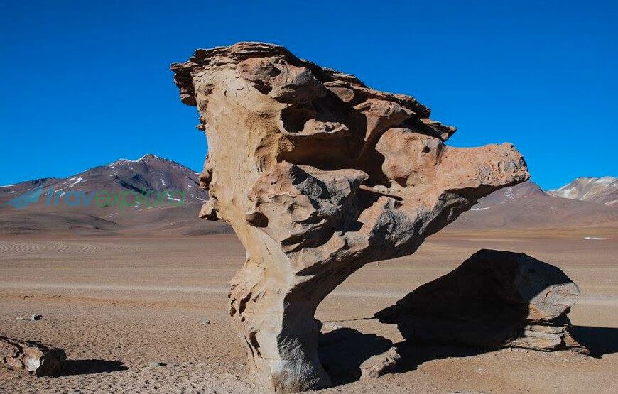 Uyuni Salt Flats & Eduardo Avaroa Reserve Group Tour (English-speaking guide) – Dry Season, 3 Days