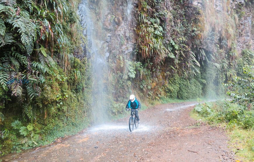 WMDR ‘Death Road’ Mountain Biking Tour Full Day - Travexplora